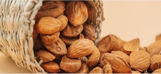 تصویر 1 از قیمت و فروش بادام سنگی + کیفیت عالی